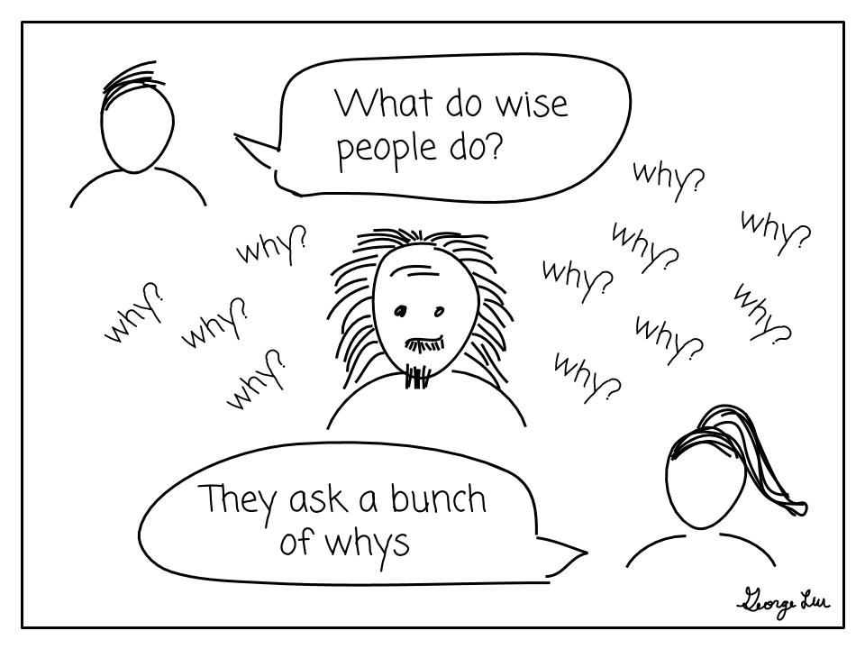 What do wise people do? They ask a bunch of whys!